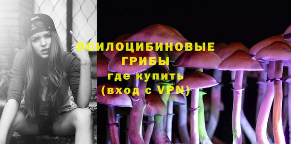 дурь Елизово