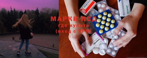 ПСИЛОЦИБИНОВЫЕ ГРИБЫ Заволжье