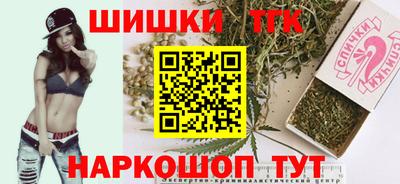хмурый Камышлов
