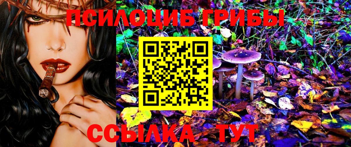 Галлюциногенные грибы Cubensis  Псилоцибиновые грибы прущие грибы  Лыткарино 