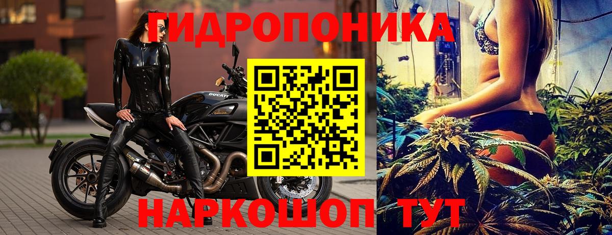 Бошки Шишки OG Kush Лыткарино